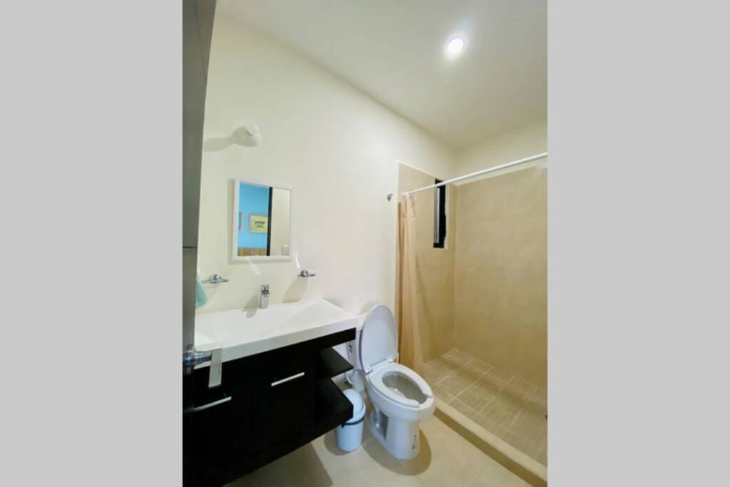 Coquillage B Daire Cancun Dış mekan fotoğraf